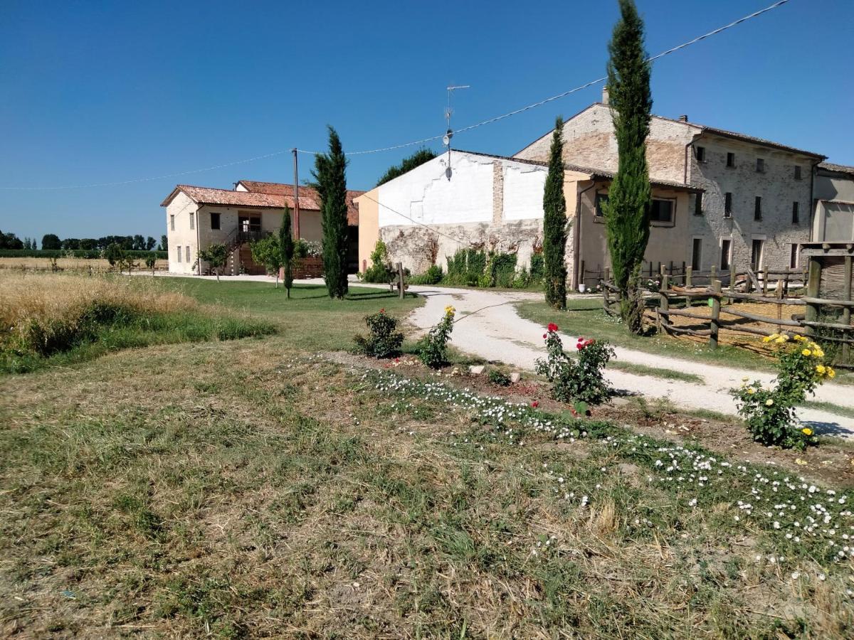 B&B Turistic 7 Castel Goffredo Exterior photo