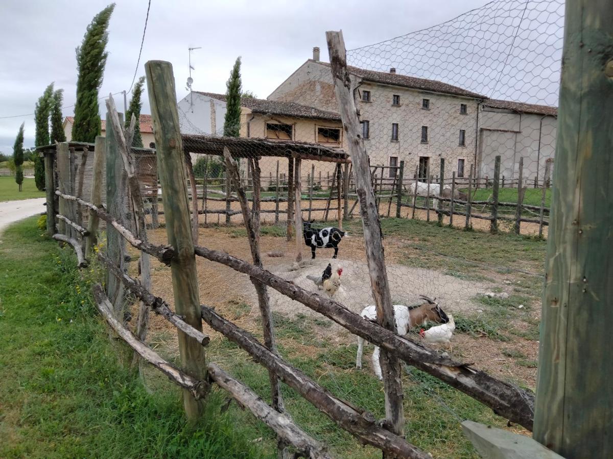 B&B Turistic 7 Castel Goffredo Exterior photo
